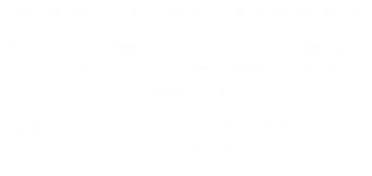 There are only 52 rooms, all non smoking and all themed.  The suites are: Celebrity ,Texas, Geronimo, Cattle Baron, Butch Cassidy, Davy Crocket, Bonnie & Clyde and Cowboy Corner.  Standard rooms are: Victorian, Cowboy, Native American and Mountain Man.